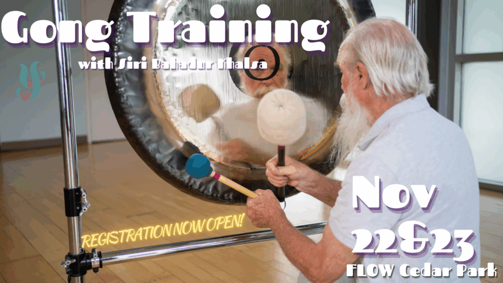 11.22.2025 FLOW Gong Training